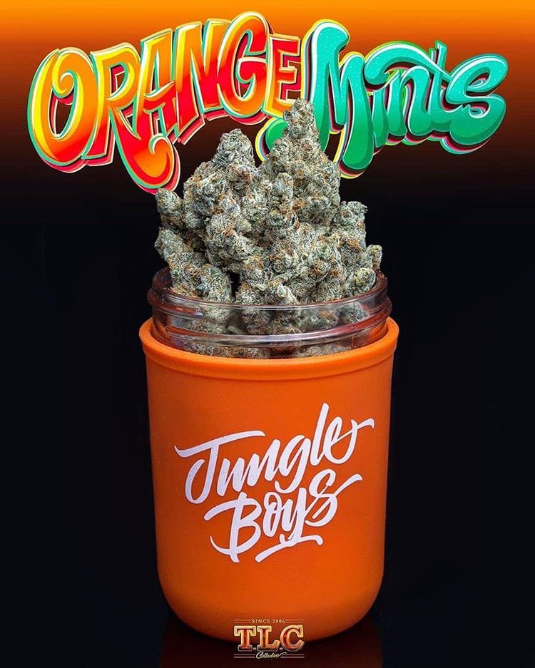 orange_mints_jungle_boyz
