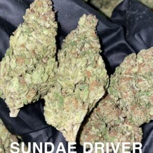 sundae_driver_weed_strain