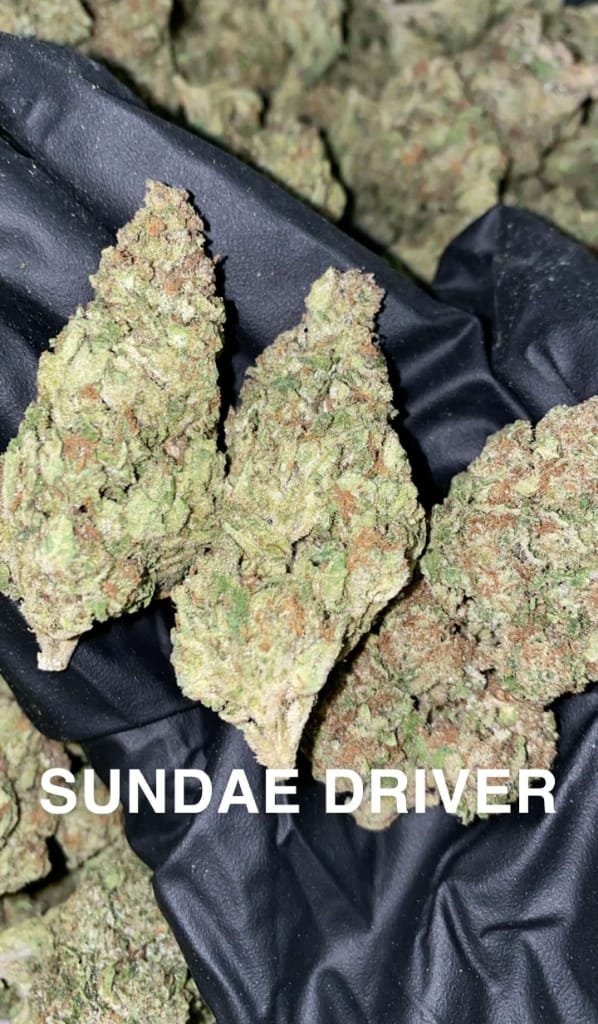 sundae_driver_weed_strain