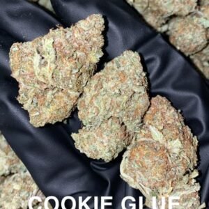 cookie_glue_weed_strain
