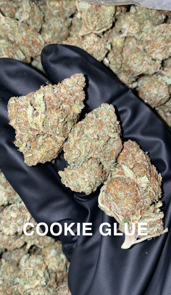 cookie_glue_weed_strain