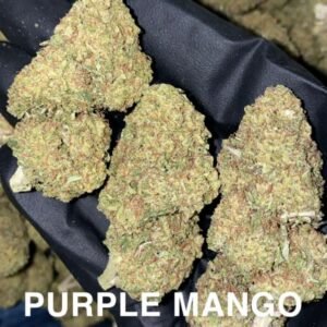 purple_mango_hybrid_weed_strain