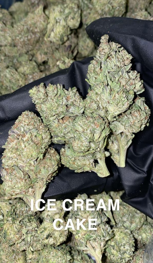Ice_cream_cake_weed_strain