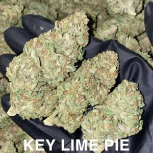 Key_lime_pie