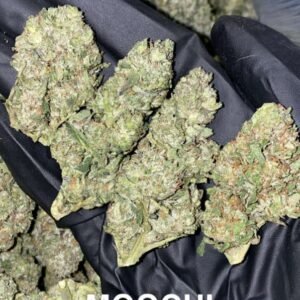Moochi_weed_strain