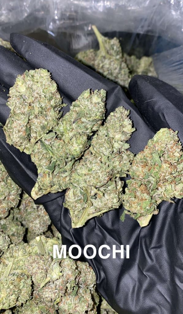 Moochi_weed_strain
