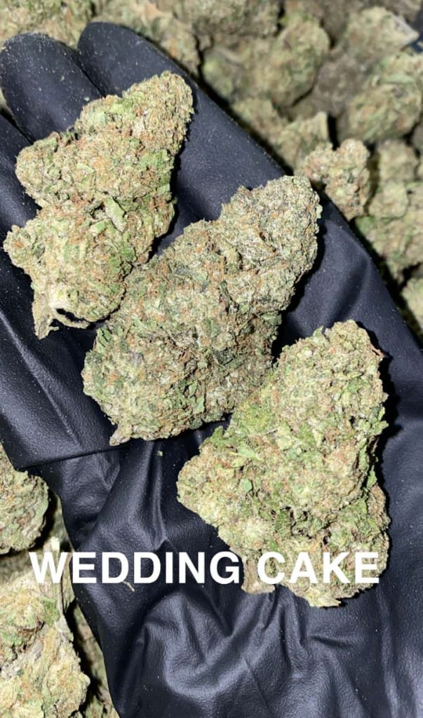 wedding_cake_hybrid_strain
