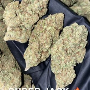 Super_jack_weed_strain